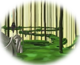 『Forest Sector』 (森林区)